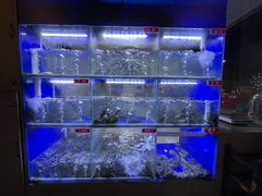 水产区-石锅苗苗鱼(武汉首店)