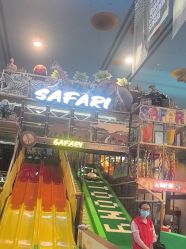 -卡通尼·Safari非洲探索乐园·生日会(金桥国际商业广场店)