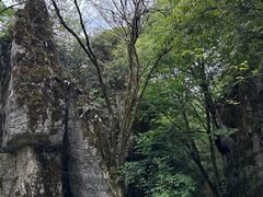 -山王坪喀斯特国家生态公园