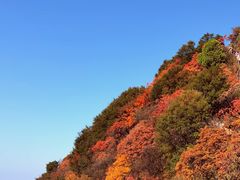 -秦岭终南山世界地质公园翠华山景区
