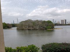 -海珠湖公园