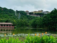 -顺峰山公园