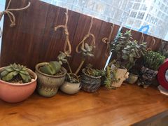 -九秋茶铺(三里屯店)