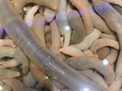 -老虎滩船说·大连海鲜(老虎滩店)