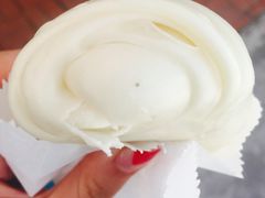-瑞穗牧场