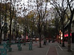 -Cactus墨西哥仙人掌餐厅