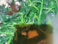 -花溪雨·森林餐厅(石基店)