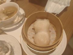 -华庭(澳门伦敦人店)