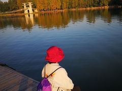 -东湖落雁景区