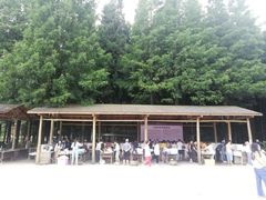-武陵山森林公园
