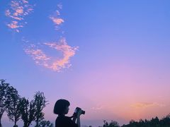 -白鹭湾湿地公园