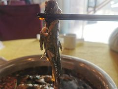 -胖大姐黄辣丁鱼庄(新津店)