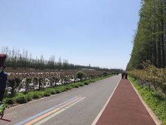 -上海长兴岛郊野公园