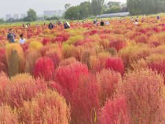 -汉长安城未央宫国家考古遗址公园