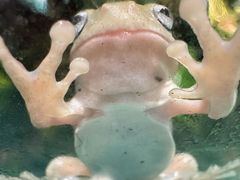 -上海大自然野生昆虫馆(东方明珠·爬宠昆虫探索中心)