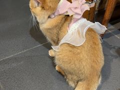 -草原塞蛮羊火锅城(港湾店)