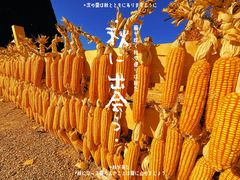 -吉姆冒险世界(蓟州店)