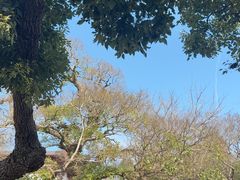 -普陀山风景名胜区-千步大沙