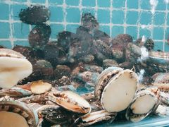 -港畔赶海蒸汽海鲜烧烤自助(仙螺岛店)