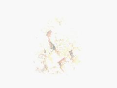 -白府牛罩(总店)