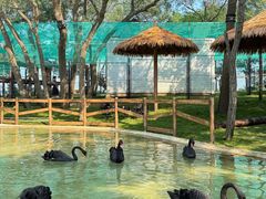 -南戴河国际娱乐中心