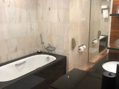 -新加坡文华东方酒店