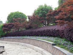 -花溪公园