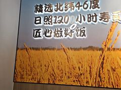 -吉野家(回龙观同成街店)