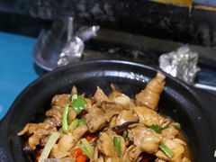 现杀果园鸡—黄焖鸡-生态苑农庄(十里画廊遇龙河店)
