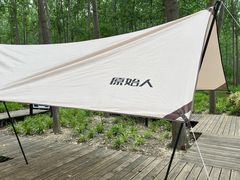 -合肥滨湖国家森林公园