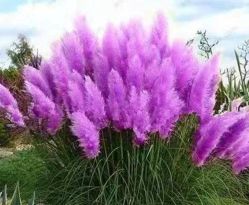 -Oasis Beauty水磨坊科技美肤中心