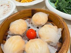 -益健美食大广场(北岭店)