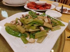 -鸿达渔港