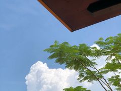 -二沙岛艺术公园