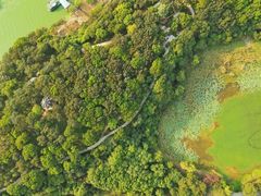 -上海市保健医疗中心