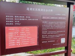 -莲湖公园