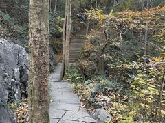 -九曜山