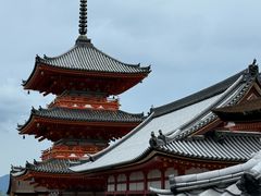-有栖山 清光院 清水寺