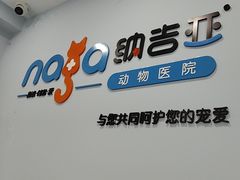 -纳吉亚猫专科动物诊疗中心(蒋宅口分院)