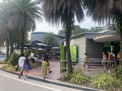 -圣淘沙天际线斜坡滑车