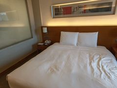 -上海浦东康桥绿地假日酒店