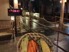 -清迈夜间动物园