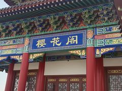 -樱花山风景区