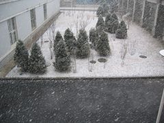 -辽宁大学(崇山校区)