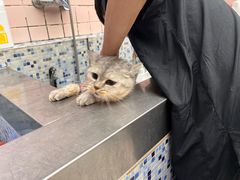 -FAELING PETS美天灵宠物(富力广场店)