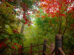 -九如山休闲旅游度假区