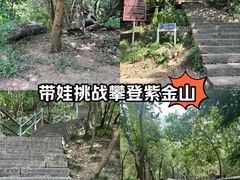 -紫金山山顶公园