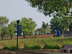 -松山湖南湖湾露营营地
