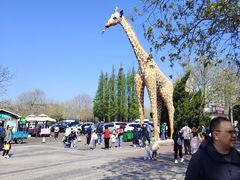 -西霞口神雕山野生动物世界