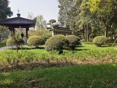 -堤角公园